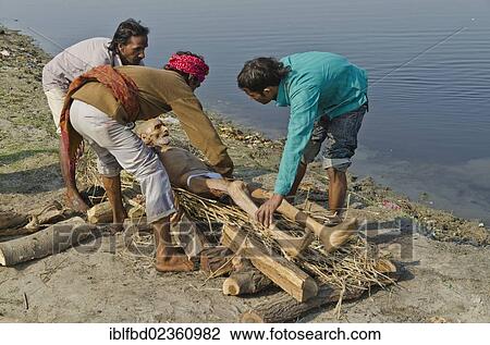 "Putting a dead body on firewood on the banks of river Yamuna as part of a cremation ceremony, Vrindavan, India, Asia" View Large Photo Image Stock Image - "Putting a dead body on firewood on the banks of river Yamuna as part of a cremation ceremony, Vrindavan, India, Asia". Fotosearch