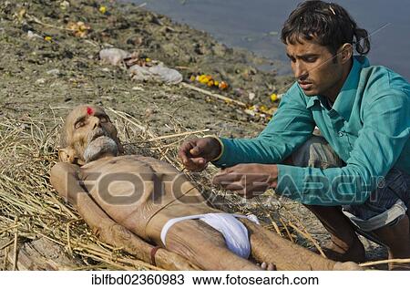 "Putting a dead body on firewood on the banks of river Yamuna as part of a cremation ceremony, Vrindavan, India, Asia" View Large Photo Image Stock Image - "Putting a dead body on firewood on the banks of river Yamuna as part of a cremation ceremony, Vrindavan, India, Asia". Fotosearch