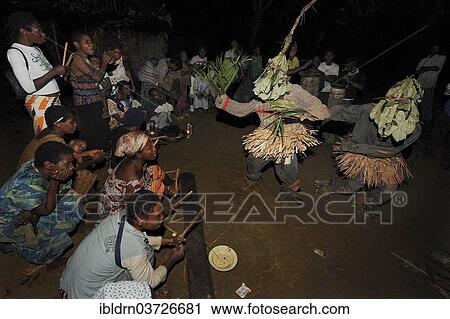 "Pygmies of the Bakola people celebrating with song and dance, at night, Manaya, South Region, Cameroon, Africa" View Large Photo Image Stock Image - "Pygmies of the Bakola people celebrating with song and dance, at night, Manaya, South Region, Cameroon, Africa". Fotosearch