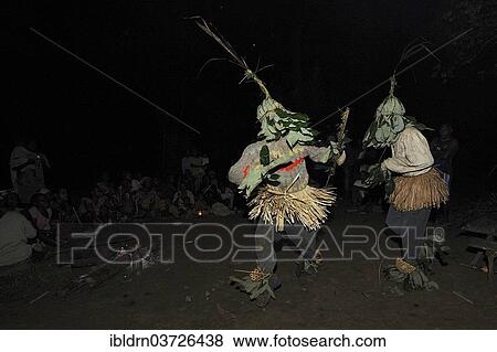 "Pygmies of the Bakola people celebrating with song and dance, at night, Manaya, South Region, Cameroon, Africa" View Large Photo Image Stock Photo - "Pygmies of the Bakola people celebrating with song and dance, at night, Manaya, South Region, Cameroon, Africa". Fotosearch