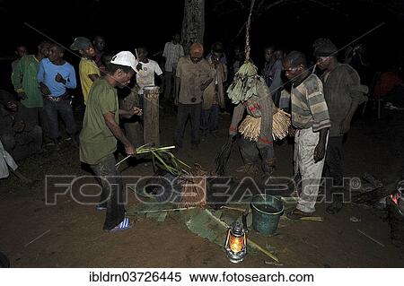 "Pygmies of the Bakola people performing a healing ritual, at night, Manaya, South Region, Cameroon, Africa" View Large Photo Image Stock Photography - "Pygmies of the Bakola people performing a healing ritual, at night, Manaya, South Region, Cameroon, Africa". Fotosearch