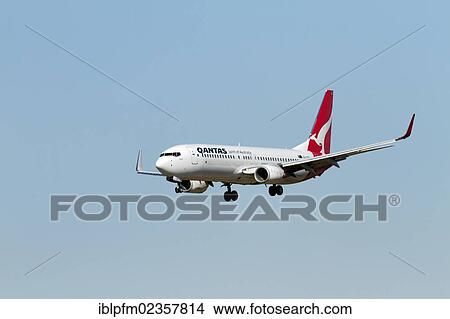 "Qantas Boeing 737-800 aircraft on landing approach, Perth, Western Australia, Australia, Oceania" View Large Photo Image Picture - "Qantas Boeing 737-800 aircraft on landing approach, Perth, Western Australia, Australia, Oceania". Fotosearch