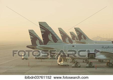 "Qatar airways planes at Doha airport shortly after sunrise, Qatar, Asia" View Large Photo Image Stock Image - "Qatar airways planes at Doha airport shortly after sunrise, Qatar, Asia". Fotosearch