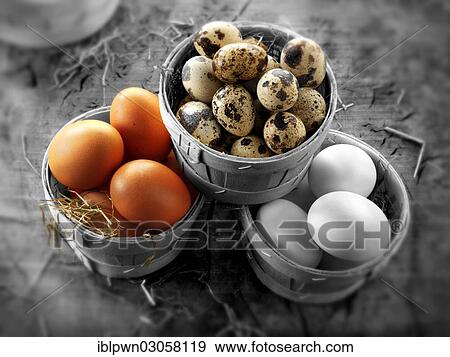 "Quail, chicken and duck eggs" View Large Photo Image Stock Photo - "Quail, chicken and duck eggs". Fotosearch