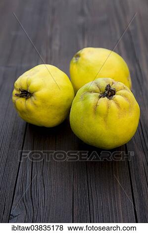 "Quinces, organic fruit" View Large Photo Image Stock Photo - "Quinces, organic fruit". Fotosearch
