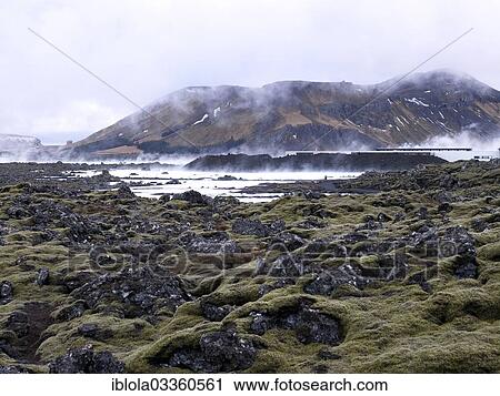 "" Blue Lagoon" with moss-covered lava fields, near Reykjavik, Capital Region, Iceland, Europe" View Large Photo Image Stock Image - "" Blue Lagoon" with moss-covered lava fields, near Reykjavik, Capital Region, Iceland, Europe". Fotosearch