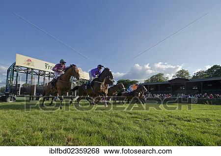 "Racing horses with jockeys during a race on the race course, Dresden, Saxony, Germany, Europe" View Large Photo Image Stock Photo - "Racing horses with jockeys during a race on the race course, Dresden, Saxony, Germany, Europe". Fotosearch