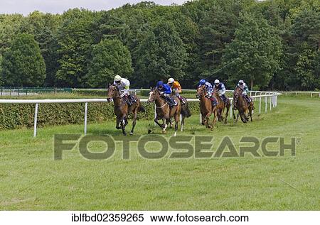 "Racing horses with jockeys during a race on the race course, Dresden, Saxony, Germany, Europe" View Large Photo Image Stock Photography - "Racing horses with jockeys during a race on the race course, Dresden, Saxony, Germany, Europe". Fotosearch