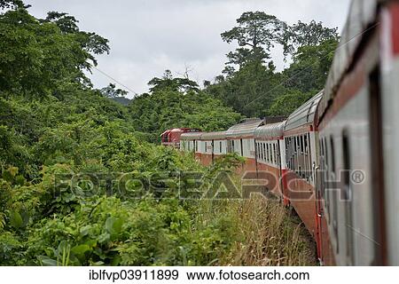 "Railroad, old waggons, French rolling stock, near Batschenga, Cameroon, Africa" View Large Photo Image Stock Photo - "Railroad, old waggons, French rolling stock, near Batschenga, Cameroon, Africa". Fotosearch