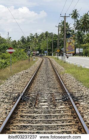 "Railroad tracks, bei Koskoda, Westkuste, Sudprovinz, Sri Lanka, Asia" View Large Photo Image Stock Photo - "Railroad tracks, bei Koskoda, Westkuste, Sudprovinz, Sri Lanka, Asia". Fotosearch