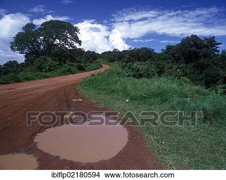 "Rain puddle on African road, Africa" View Large Photo Image Picture - "Rain puddle on African road, Africa". Fotosearch