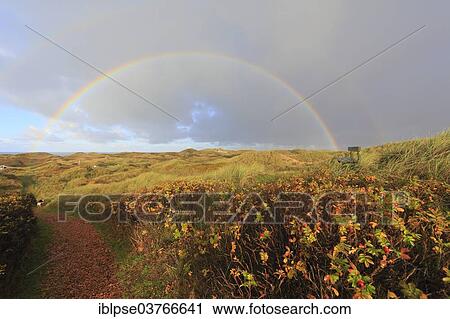 "Rainbow over a dune landscape, North Jutland, Denmark, Europe" View Large Photo Image Stock Image - "Rainbow over a dune landscape, North Jutland, Denmark, Europe". Fotosearch