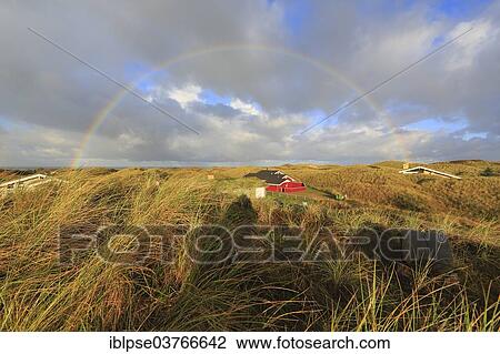 "Rainbow over a dune landscape, North Jutland, Denmark, Europe" View Large Photo Image Stock Image - "Rainbow over a dune landscape, North Jutland, Denmark, Europe". Fotosearch