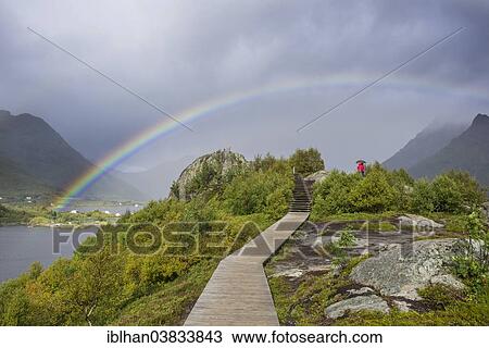 "Rainbow over a lookout point, Sildpollnes, Lofoten, Nordland, Norway, Europe" View Large Photo Image Stock Image - "Rainbow over a lookout point, Sildpollnes, Lofoten, Nordland, Norway, Europe". Fotosearch