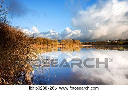 "Rainclouds gathering over lake in morning sunshine, Lower Tamar Lake, near Kilkhampton, Cornwall, England, United Kingdom, Europe" View Large Photo Image Stock Photography - "Rainclouds gathering over lake in morning sunshine, Lower Tamar Lake, near Kilkhampton, Cornwall, England, United Kingdom, Europe". Fotosearch