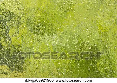 "Raindrops, frosted glass" View Large Photo Image Stock Image - "Raindrops, frosted glass". Fotosearch