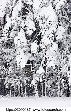 "Raised hide in a snow-covered forest, Gnadenwald, North Tyrol, Austria, Europe" View Large Photo Image Stock Photo - "Raised hide in a snow-covered forest, Gnadenwald, North Tyrol, Austria, Europe". Fotosearch