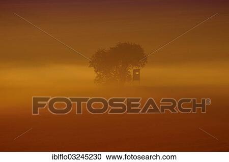 "Raised hide in the morning fog at sunrise, Limburg/Weilburg, Offheim, Hesse, Germany, Europe" View Large Photo Image Stock Image - "Raised hide in the morning fog at sunrise, Limburg/Weilburg, Offheim, Hesse, Germany, Europe". Fotosearch