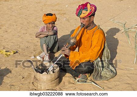 Stock Photo - "Rajasthani snake charmer with a turban, playing a flute, a cobra or Naja winding from a basket in front of him, his son sitting next to him, Pushkar, Rajasthan, India, Asia". Fotosearch