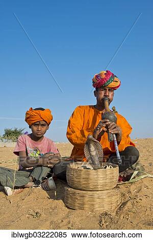 "Rajasthani snake charmer with a turban, playing a flute, a cobra or Naja winding from a basket in front of him, his son sitting next to him, Pushkar, Rajasthan, India, Asia" View Large Photo Image Stock Photography - "Rajasthani snake charmer with a turban, playing a flute, a cobra or Naja winding from a basket in front of him, his son sitting next to him, Pushkar, Rajasthan, India, Asia". Fotosearch
