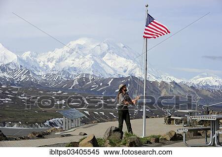 "Ranger raises the American Flag in front of Mt McKinley, Denali National Park, Alaska, United States, North America" View Large Photo Image Stock Photography - "Ranger raises the American Flag in front of Mt McKinley, Denali National Park, Alaska, United States, North America". Fotosearch