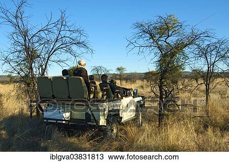 Stock Image - "Rangers and tourists in an SUV deer-stalking in the Madikwe Game Reserve, South Africa, Africa". Fotosearch