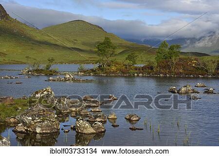 "Rannoch Moor, Scottish Highlands, Scotland, United Kingdom, Europe" View Large Photo Image Picture - "Rannoch Moor, Scottish Highlands, Scotland, United Kingdom, Europe". Fotosearch