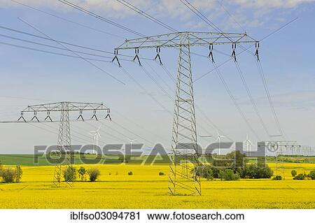 "Rape field, power lines and wind turbines, Thuringia, Germany, Europe" View Large Photo Image Stock Image - "Rape field, power lines and wind turbines, Thuringia, Germany, Europe". Fotosearch