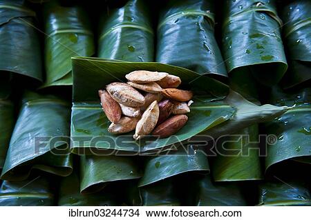 "Raw Brazil Nuts (Bertholletia excelsa) for sale, Honiara, Solomon Islands, Oceania" View Large Photo Image Picture - "Raw Brazil Nuts (Bertholletia excelsa) for sale, Honiara, Solomon Islands, Oceania". Fotosearch
