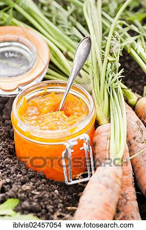 Picture - Raw carrots in a vegetable garden with carrot marmalade in a glass jar. Fotosearch