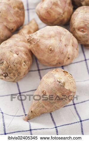 Raw Jerusalem artichokes (Helianthus tuberosus) View Large Photo Image Stock Photography - Raw Jerusalem artichokes (Helianthus tuberosus). Fotosearch