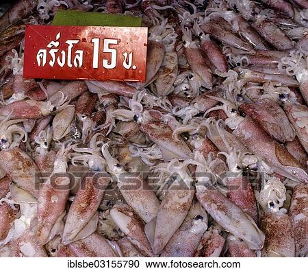 "Raw squid on sale at the fish market, Thai food, Bangkok, Central Thailand, Thailand, Asia" View Large Photo Image Stock Image - "Raw squid on sale at the fish market, Thai food, Bangkok, Central Thailand, Thailand, Asia". Fotosearch