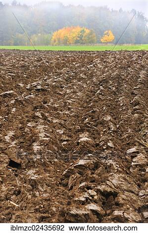 "Recently ploughed field in a hazy autumn landscape, Enzenreuth, Franconian Switzerland, Middle Franconia, Bavaria, Germany, Europe" View Large Photo Image Stock Image - "Recently ploughed field in a hazy autumn landscape, Enzenreuth, Franconian Switzerland, Middle Franconia, Bavaria, Germany, Europe". Fotosearch