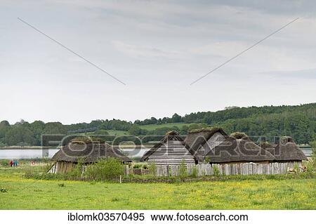 "Reconstructed Viking houses with thatched roofs, Hedeby Viking Museum, Busdorf, Schleswig-Holstein, Germany, Europe" View Large Photo Image Stock Photography - "Reconstructed Viking houses with thatched roofs, Hedeby Viking Museum, Busdorf, Schleswig-Holstein, Germany, Europe". Fotosearch