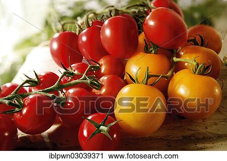 Stock Image - Red and yellow tomatoes and plum tomatoes. Fotosearch