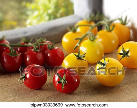 Red and yellow tomatoes on the vine View Large Photo Image Stock Photo - Red and yellow tomatoes on the vine. Fotosearch