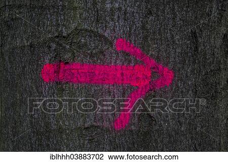 Stock Image - Red arrow on a tree. Fotosearch