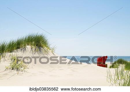 "Red beach chair in the dunes by the sea, Amrum, North Frisian Islands, Schleswig-Holstein, Germany, Europe" View Large Photo Image Stock Image - "Red beach chair in the dunes by the sea, Amrum, North Frisian Islands, Schleswig-Holstein, Germany, Europe". Fotosearch