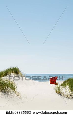 "Red beach chair in the dunes by the sea, Amrum, North Frisian Islands, Schleswig-Holstein, Germany, Europe" View Large Photo Image Stock Image - "Red beach chair in the dunes by the sea, Amrum, North Frisian Islands, Schleswig-Holstein, Germany, Europe". Fotosearch