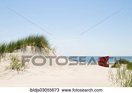 "Red beach chair in the sand dunes, Amrum, Amrum, North Frisian Islands, Schleswig-Holstein, Germany, Europe" View Large Photo Image Stock Image - "Red beach chair in the sand dunes, Amrum, Amrum, North Frisian Islands, Schleswig-Holstein, Germany, Europe". Fotosearch