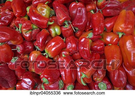 "Red Bell Peppers, Jordan, Asia" View Large Photo Image Stock Photograph - "Red Bell Peppers, Jordan, Asia". Fotosearch