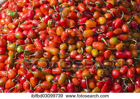 Stock Photo - "Red chilis, displayed for sale, Kathmandu, Kathmandu District, Bagmati Zone, Nepal, Asia". Fotosearch