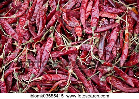 "Red chillies, Bassi, Rajasthan, India, Asia" View Large Photo Image Stock Photography - "Red chillies, Bassi, Rajasthan, India, Asia". Fotosearch