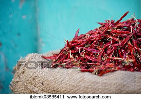 "Red chillies in a sack against a turquoise wall, Bassi, Rajasthan, India, Asia" View Large Photo Image Stock Image - "Red chillies in a sack against a turquoise wall, Bassi, Rajasthan, India, Asia". Fotosearch