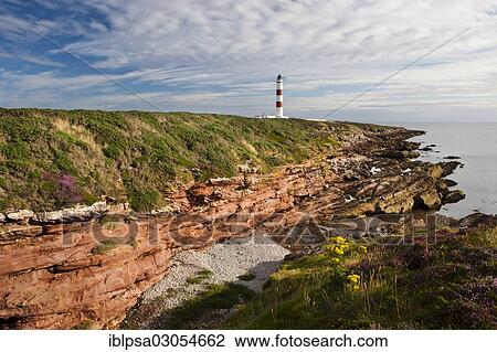 "Red cliffs and lighthouse, Tarbat Ness, Scotland, United Kingdom, Europe" View Large Photo Image Stock Image - "Red cliffs and lighthouse, Tarbat Ness, Scotland, United Kingdom, Europe". Fotosearch