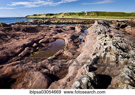 "Red cliffs, rocky coast, Tarbat Ness, Scotland, United Kingdom, Europe" View Large Photo Image Stock Photo - "Red cliffs, rocky coast, Tarbat Ness, Scotland, United Kingdom, Europe". Fotosearch