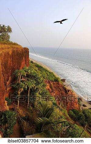 Picture - "Red cliffs, South Cliff, Arabian Sea, Varkala, Kerala, South India, India, Asia". Fotosearch