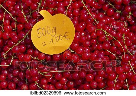 "Red currants with price tag for sale at the weekly market, Dresden, Saxony, Germany, Europe" View Large Photo Image Stock Photograph - "Red currants with price tag for sale at the weekly market, Dresden, Saxony, Germany, Europe". Fotosearch