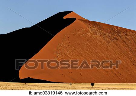 "Red dune, black shadow, Namib Naukluft National Park, Namibia, Africa" View Large Photo Image Stock Photograph - "Red dune, black shadow, Namib Naukluft National Park, Namibia, Africa". Fotosearch