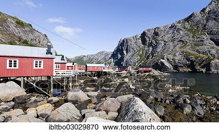 "Red fishermen's houses, called rorbuer, A, Nusfjord, Lofoten, Nordland, Norway, Europe" View Large Photo Image Stock Image - "Red fishermen's houses, called rorbuer, A, Nusfjord, Lofoten, Nordland, Norway, Europe". Fotosearch